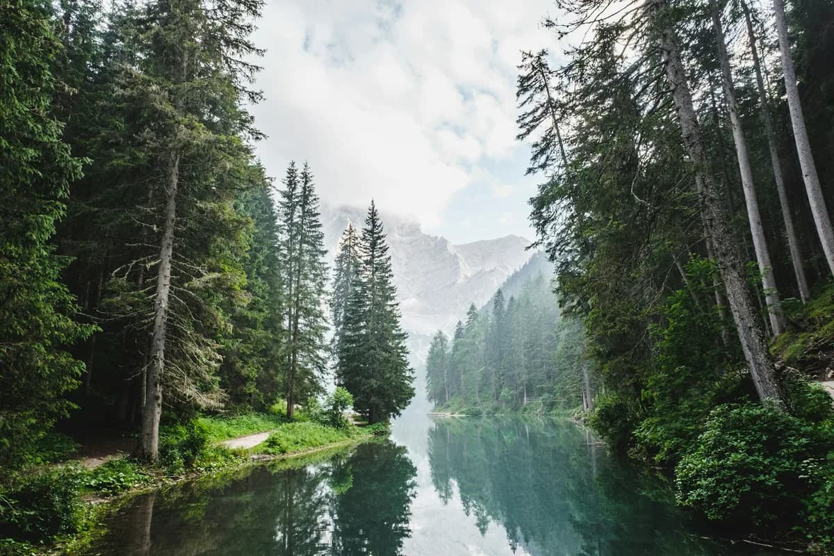 Yellowstone National Park