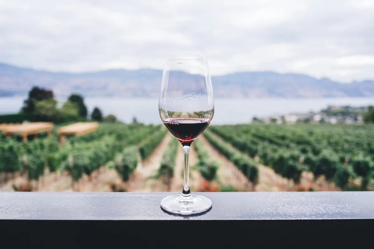 Wine Tasting in Napa Valley